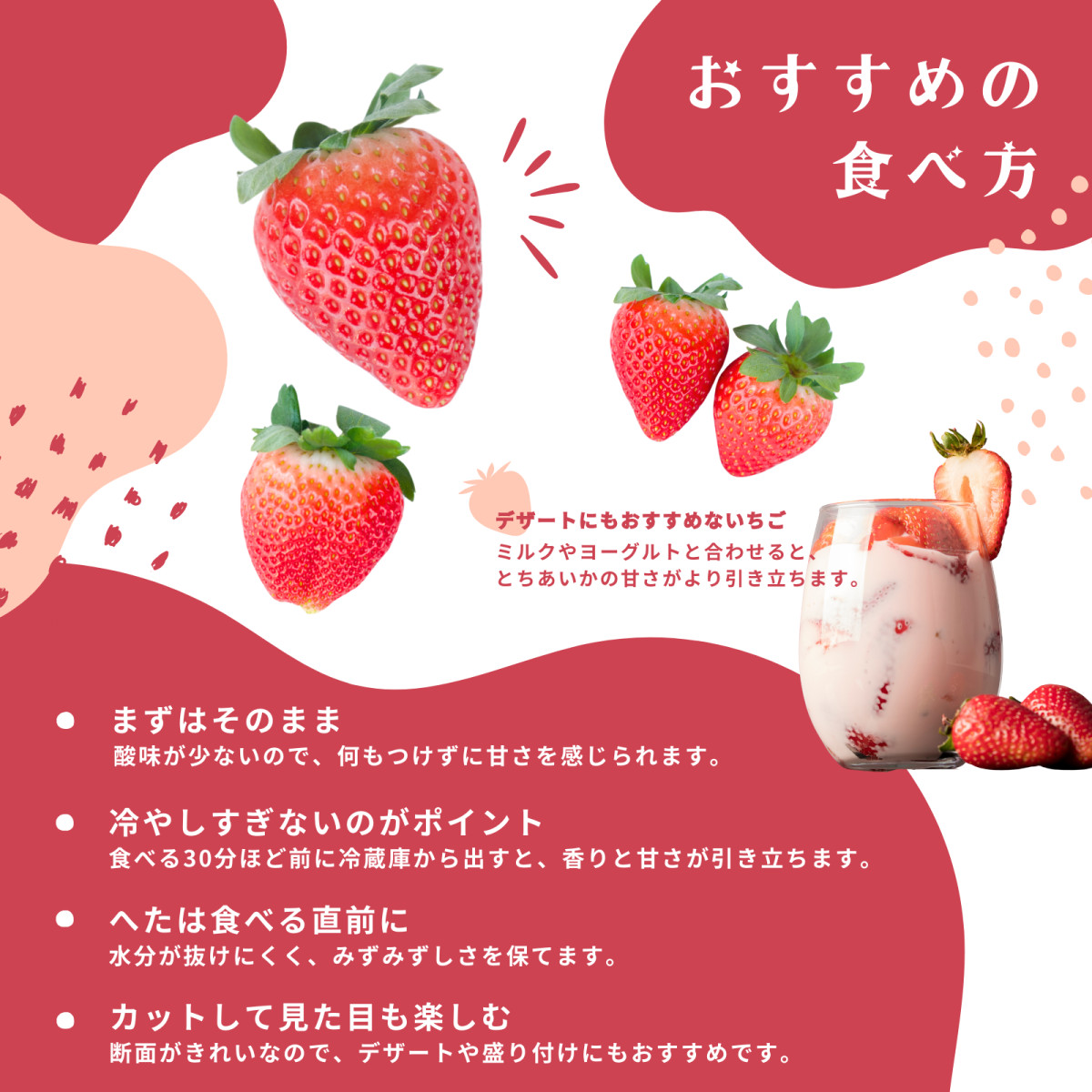 栃木県産 とちあいか たっぷり約900g 苺 いちご イチゴ 家庭用 お洒落