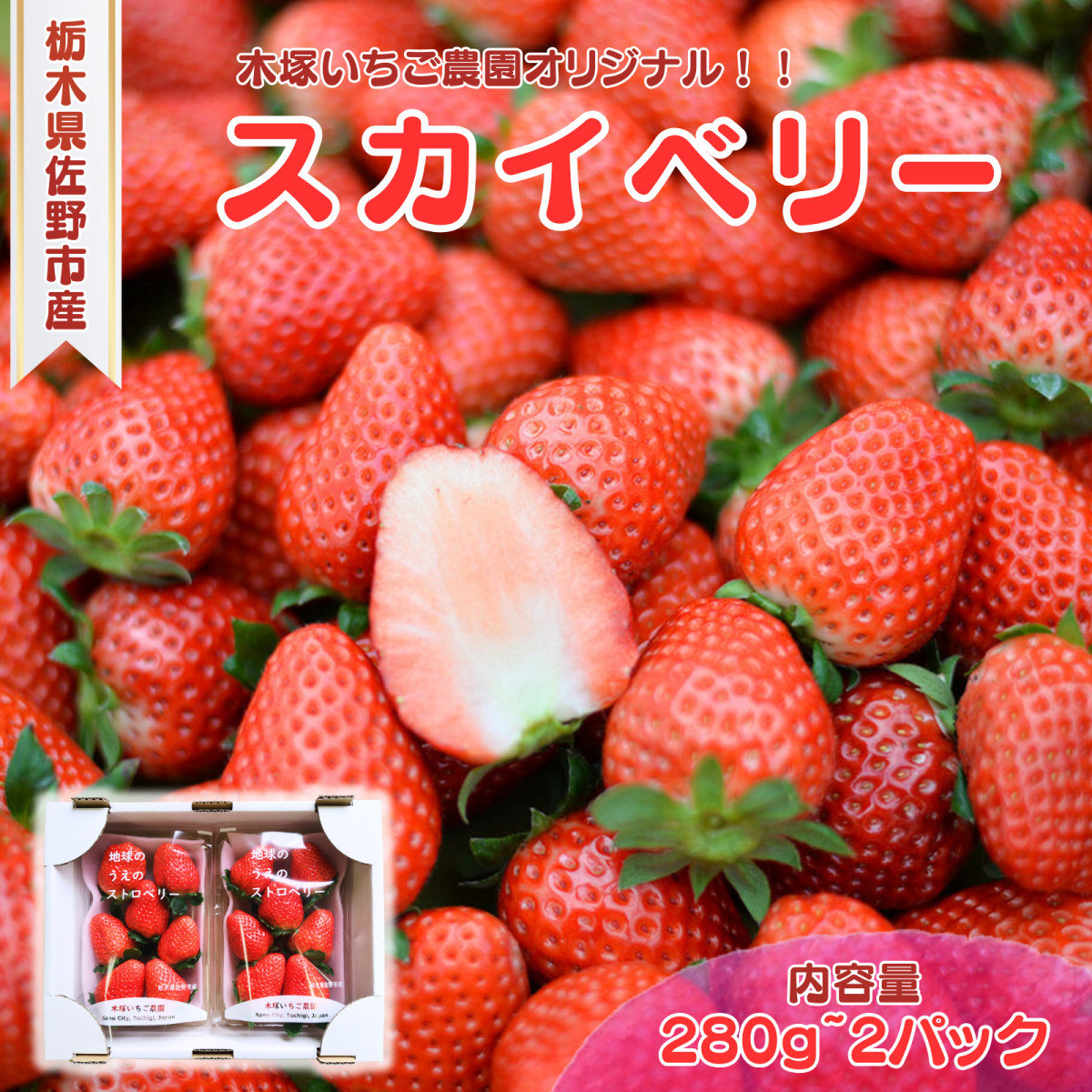 スカイベリー 1パック280g 合計560g パックあたり6〜11粒 栃木県産