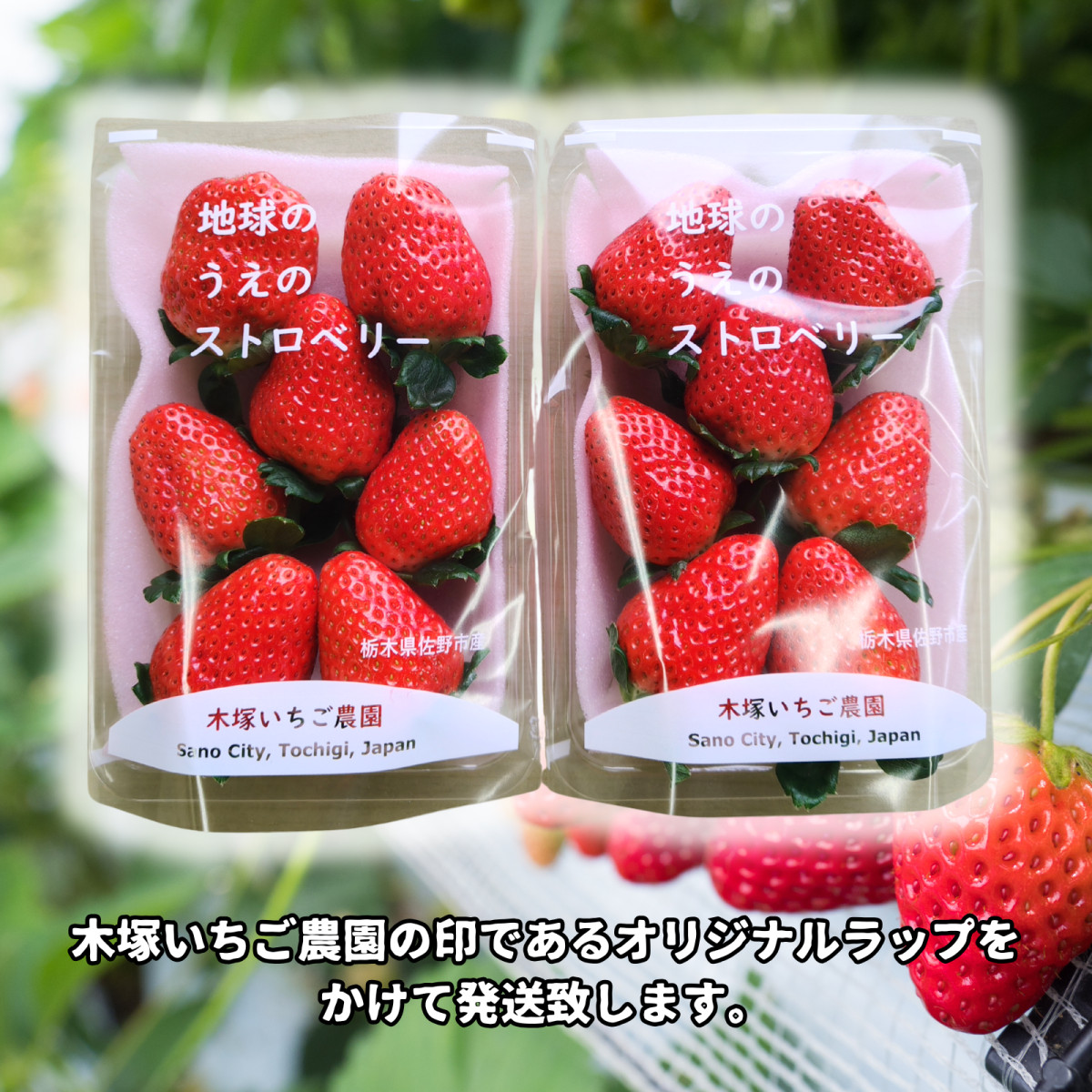 スカイベリー 1パック280g 合計560g パックあたり6〜11粒 栃木県産
