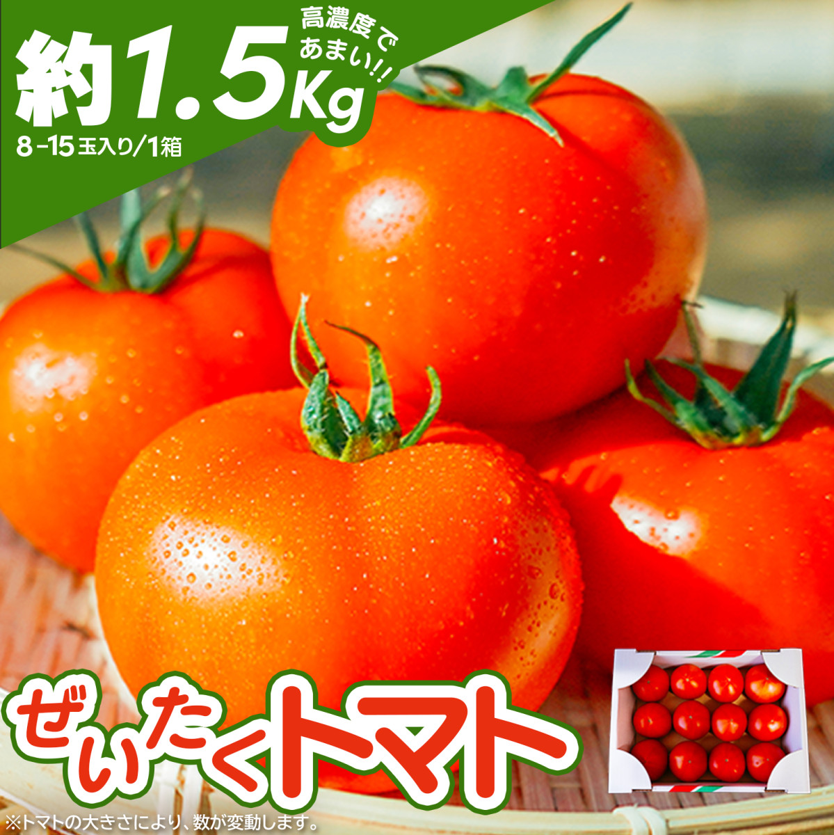 新鮮 ぜいたくトマト 約1.5kg 8~15玉入り フルーツトマト系 配送日指定