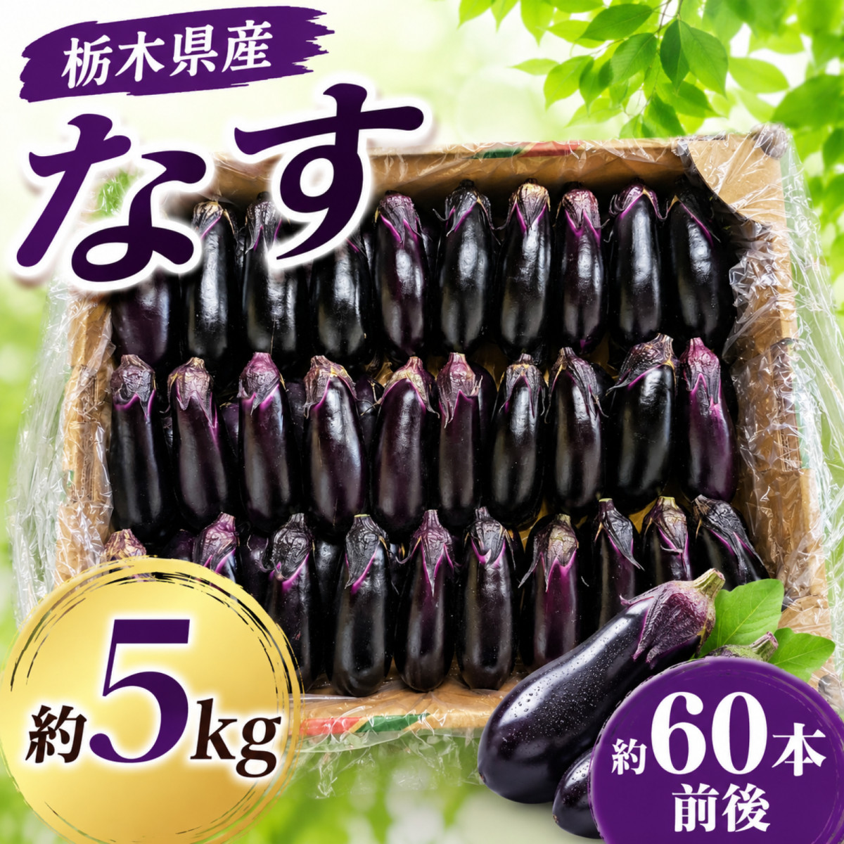 採れたて新鮮ナス！バラ60本詰合せセット 栃木県産 茄子 ナスビ ナス