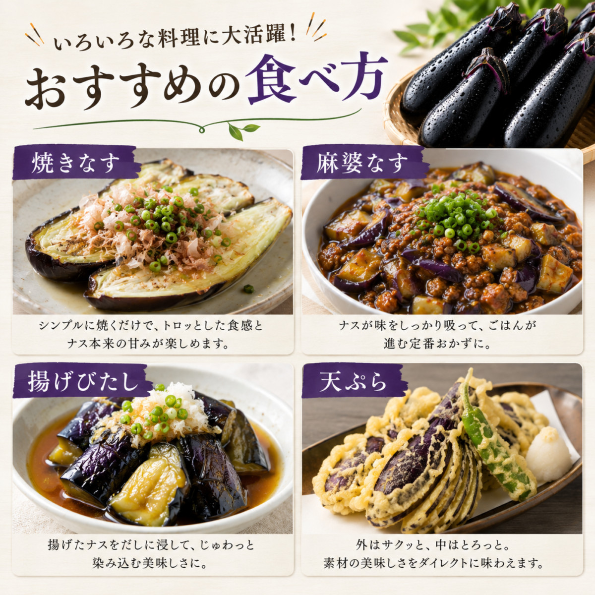 採れたて新鮮ナス！バラ60本詰合せセット 栃木県産 茄子 ナスビ ナス