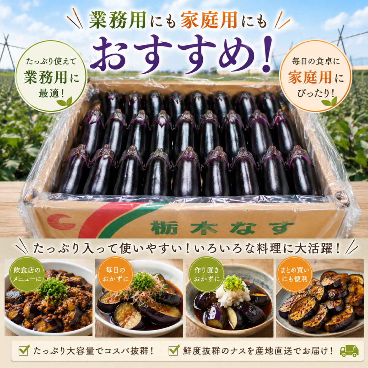 採れたて新鮮ナス！バラ60本詰合せセット 栃木県産 茄子 ナスビ ナス