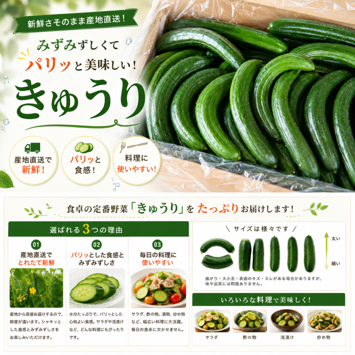 きゅうり 大量 5kg 酒のつまみに最高 不揃い 訳アリ キュウリ 約30から
