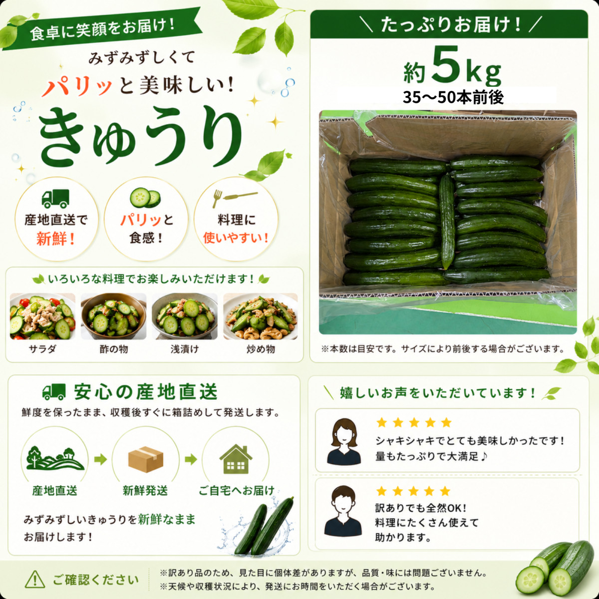 きゅうり 大量 5kg 酒のつまみに最高 不揃い 訳アリ キュウリ 約30から