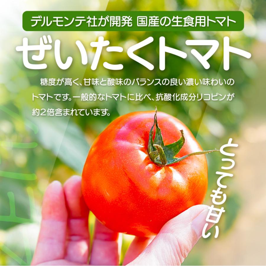 新鮮 ぜいたくトマト 約1.5kg 8~15玉入り フルーツトマト系 配送日指定