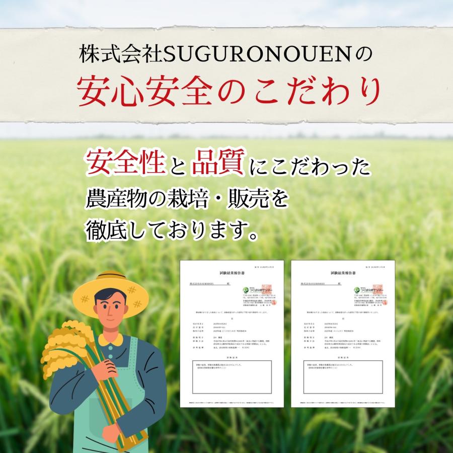 令和7年産 【5980円〜】 特別栽培米 コシヒカリ 農薬・化学肥料栽培