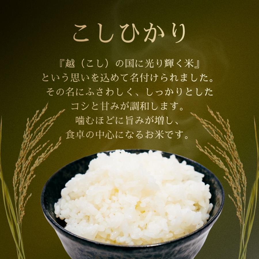 令和7年産 【5980円〜】 特別栽培米 コシヒカリ 農薬・化学肥料栽培