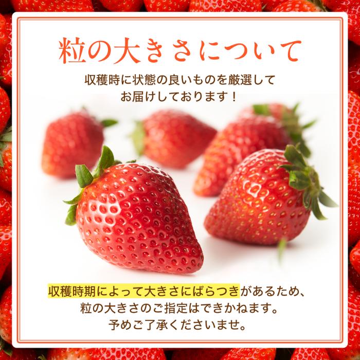 とちあいか 4パック 約270g×4 栃木県産 送料無料 イチゴ いちご 苺