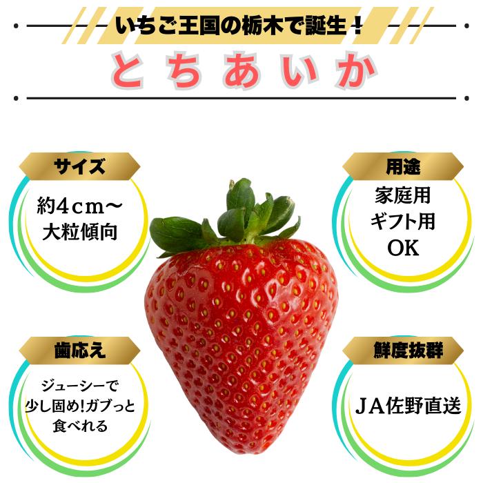 とちあいか 4パック 約270g×4 栃木県産 送料無料 イチゴ いちご 苺