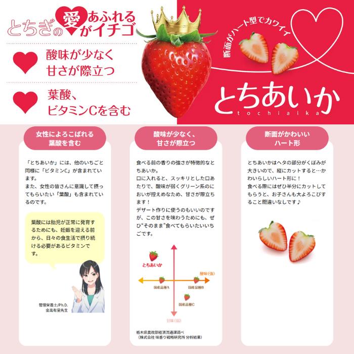 とちあいか 4パック 約270g×4 栃木県産 送料無料 イチゴ いちご 苺