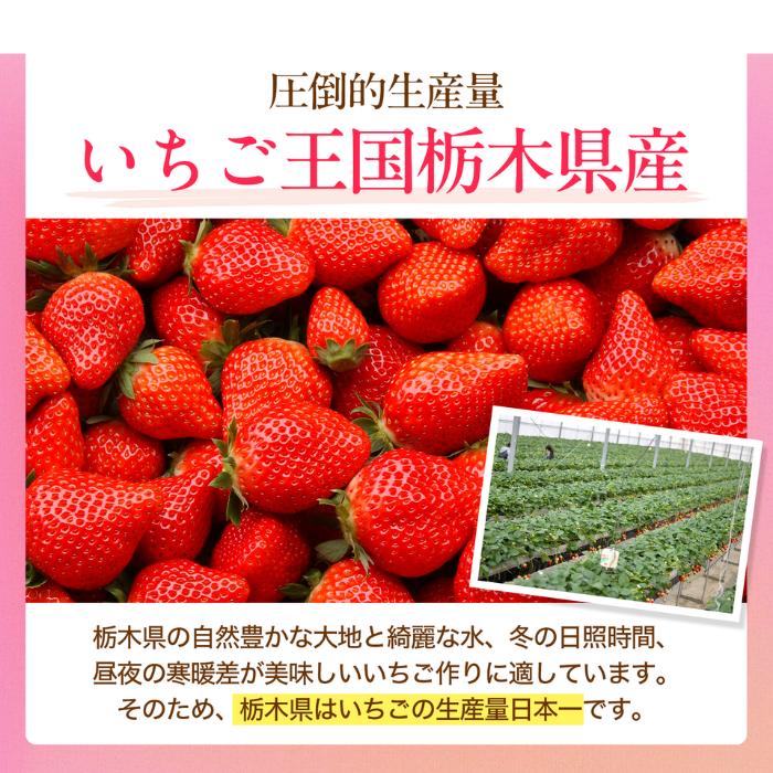 とちあいか 4パック 約270g×4 栃木県産 送料無料 イチゴ いちご 苺