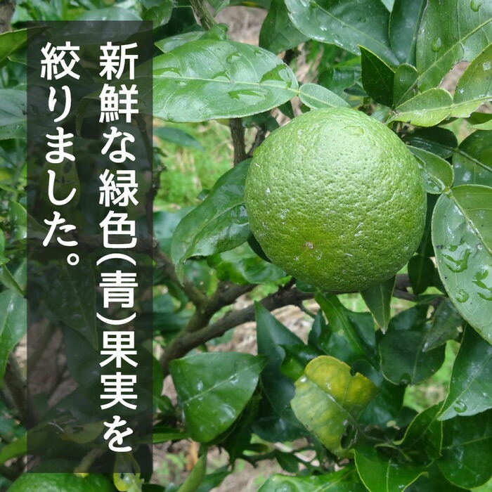 じゃばら本舗 じゃばら 青搾り 果汁 無添加 100%ストレート