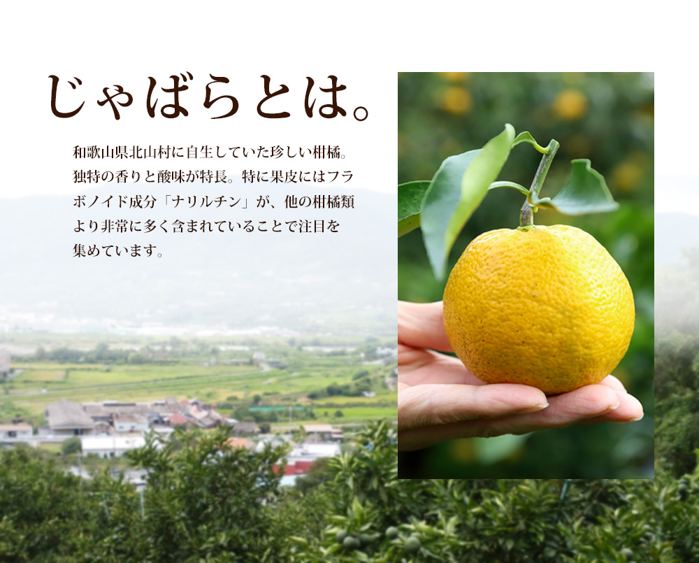 じゃばら 果皮使用 万爽健茶 三角ティーバッグ 30g 和歌山県産