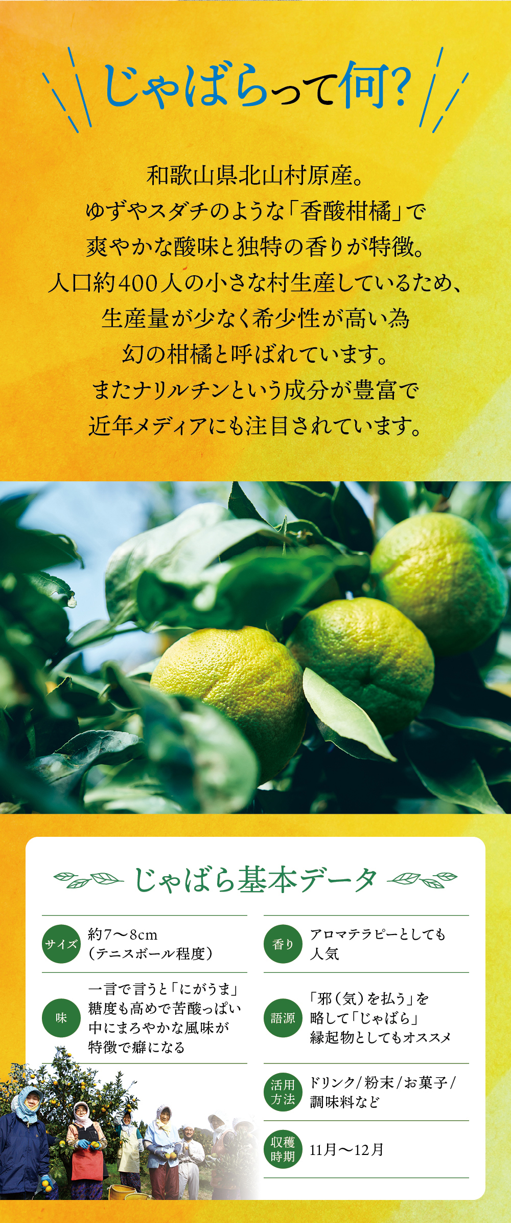 じゃばらって何？