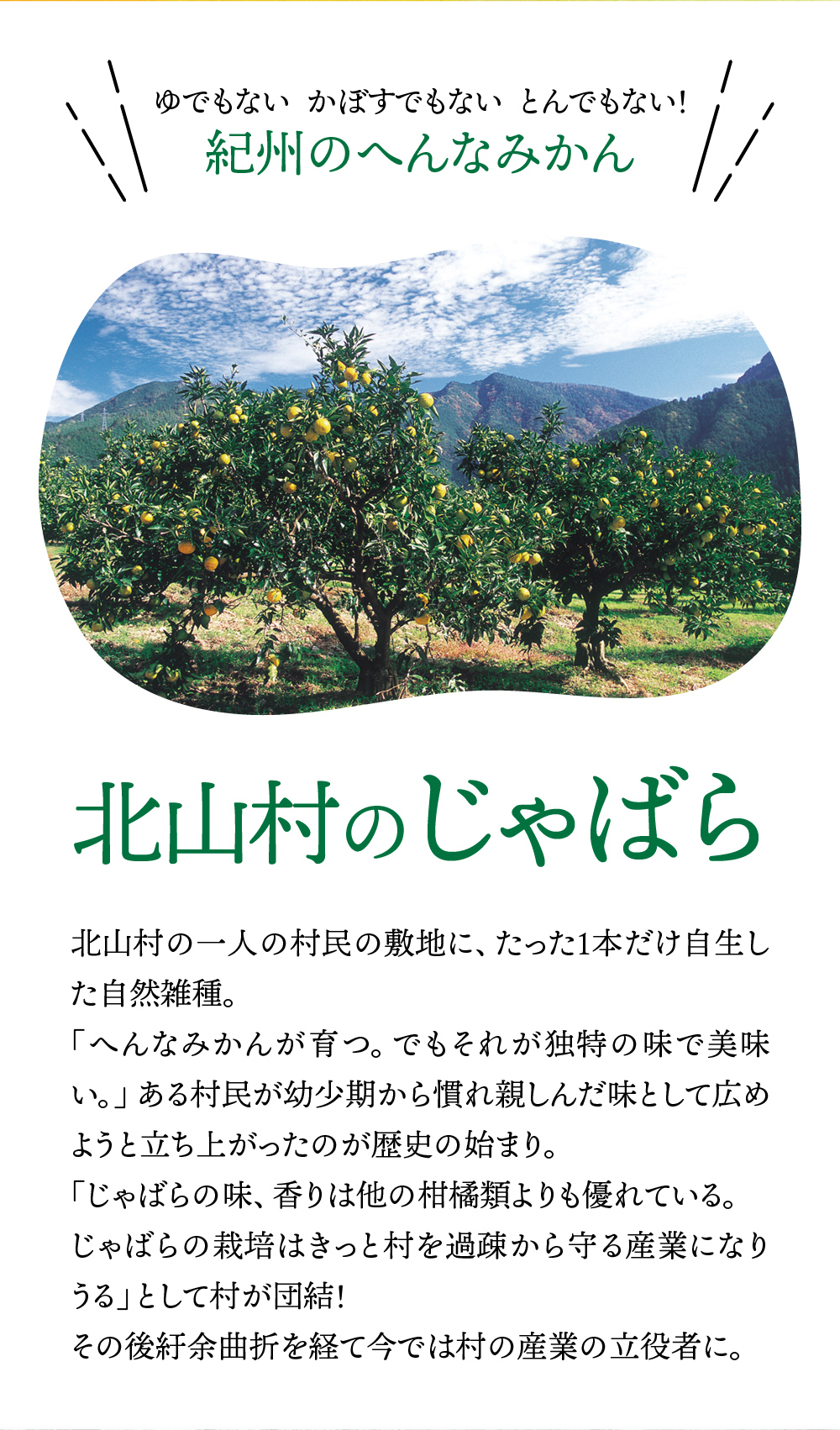 バナー
