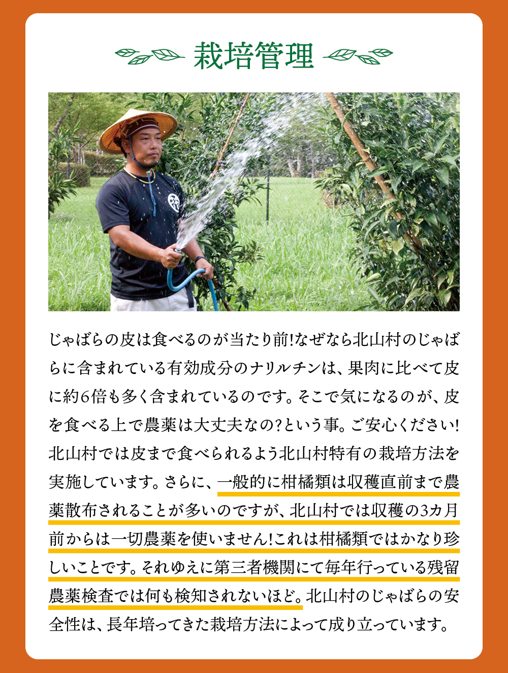 バナー