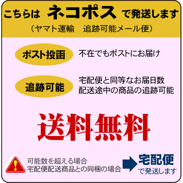 ジッポー ZIPPO 純正　ガスライターインサイドユニット ダブルトーチ(ガスなし)　65858 送料無料（ネコポス発送のみ）