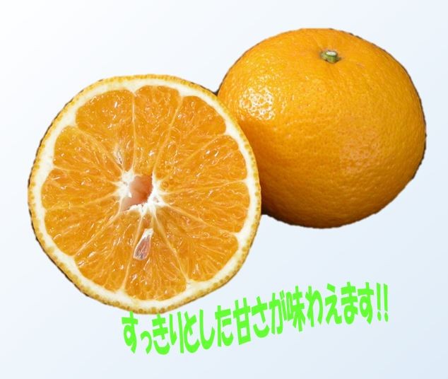 ひめのつきジュース なつみジュース セット 720ml 各1本入り 愛媛県産