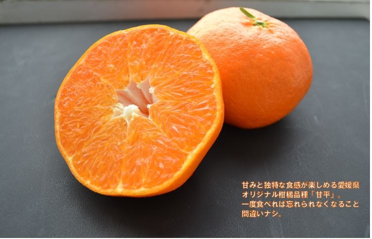 『専用出品 KK』 「甘平セット」10k 15玉前後 JAえひめ 越智今治etc 先行予約】＼超売れ筋商品！／ 甘平（贈答用）化粧箱 4L～2L 8～12玉