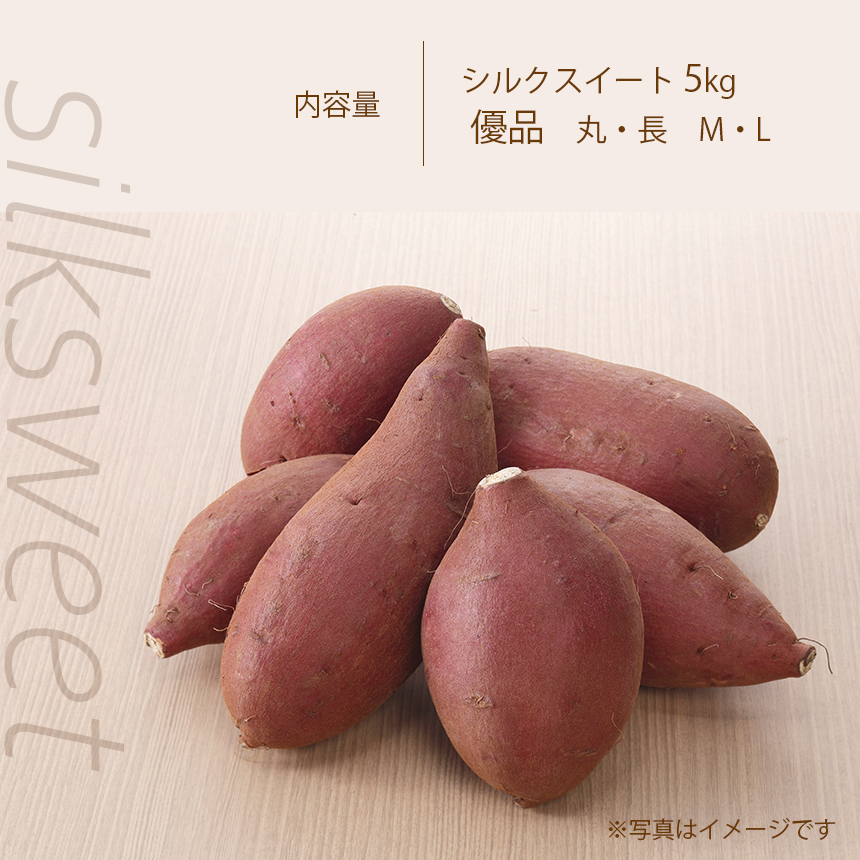 JA阿蘇 西原産シルクスイート 優 5kg 送料無料 芋 サツマイモ : ja1700010 : JA熊本経済連Yahoo!Shop - 通販 -  Yahoo!ショッピング