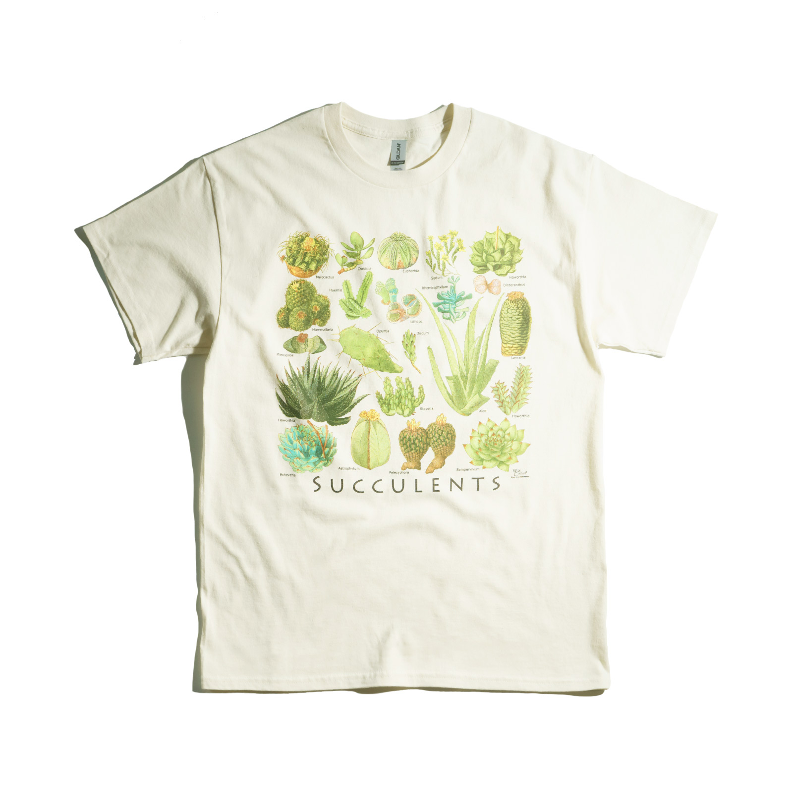 アトラススクリーンプリンティング ATLAS SCREEN PRINTING 半袖Tシャツ