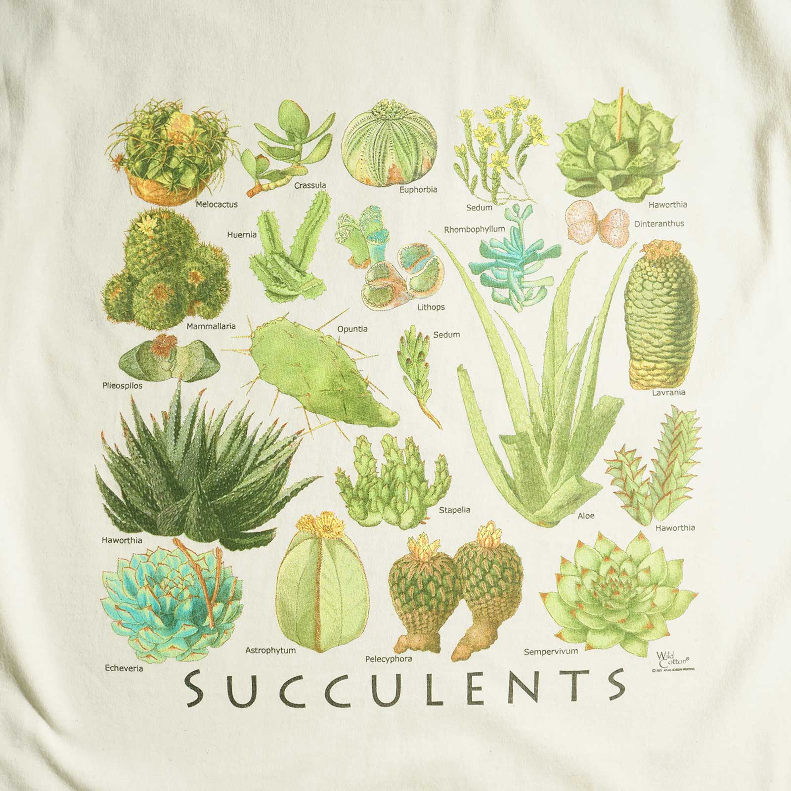 アトラススクリーンプリンティング ATLAS SCREEN PRINTING 半袖Tシャツ