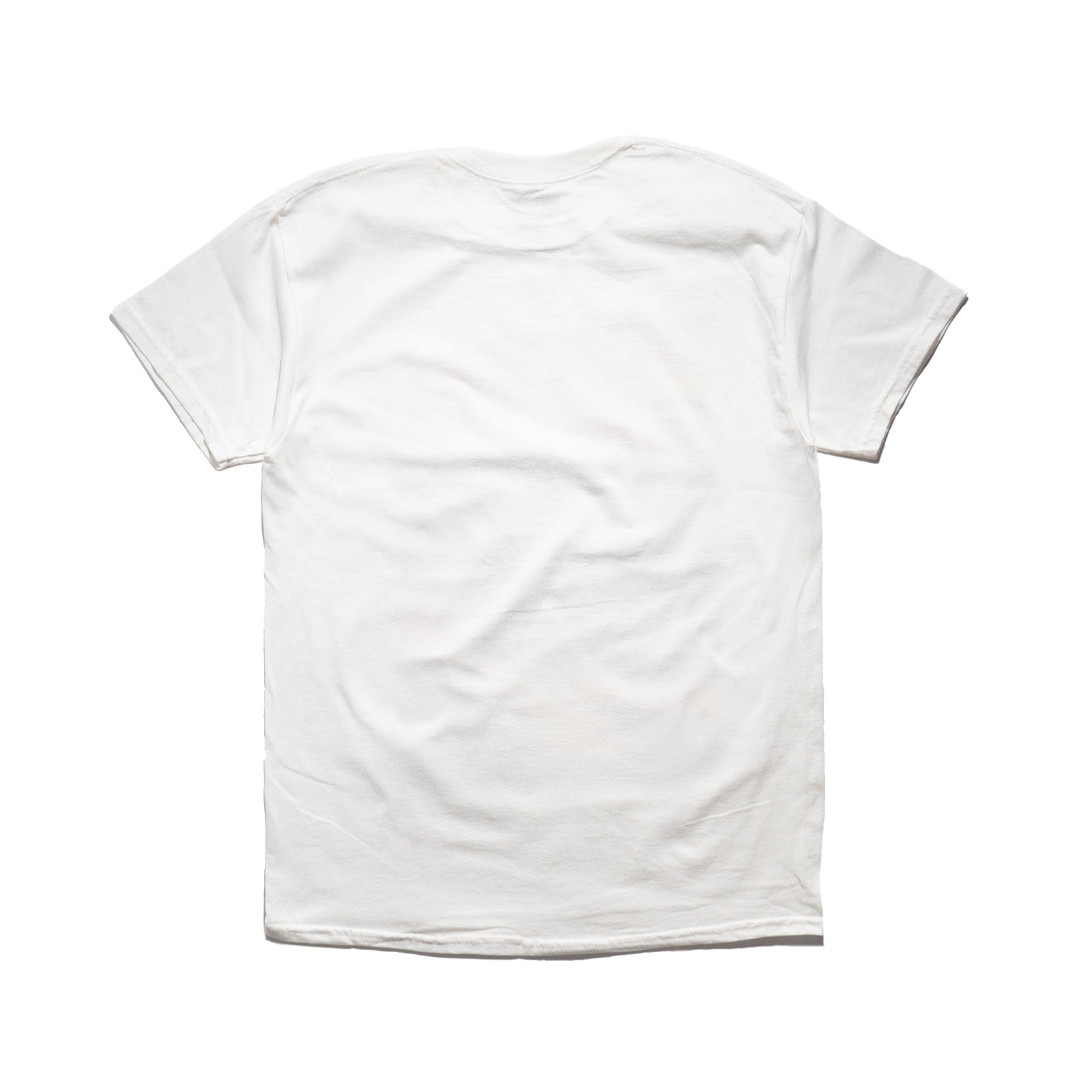 アメリカンクラシックス AMERICAN CLASSICS ムービーTシャツ バック 