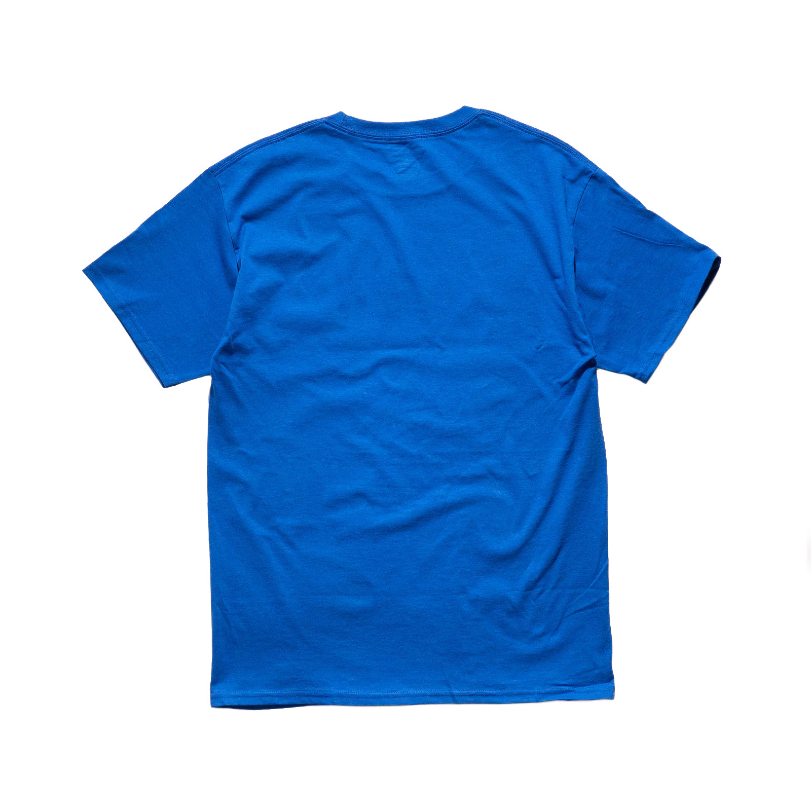 Champion DUKE UNIVERSITY オフィシャルロゴ カレッジTシャツ