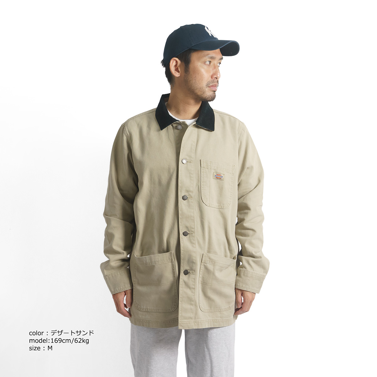 Dickies（ディッキーズ） #TCR05 ストーンウォッシュド ダック