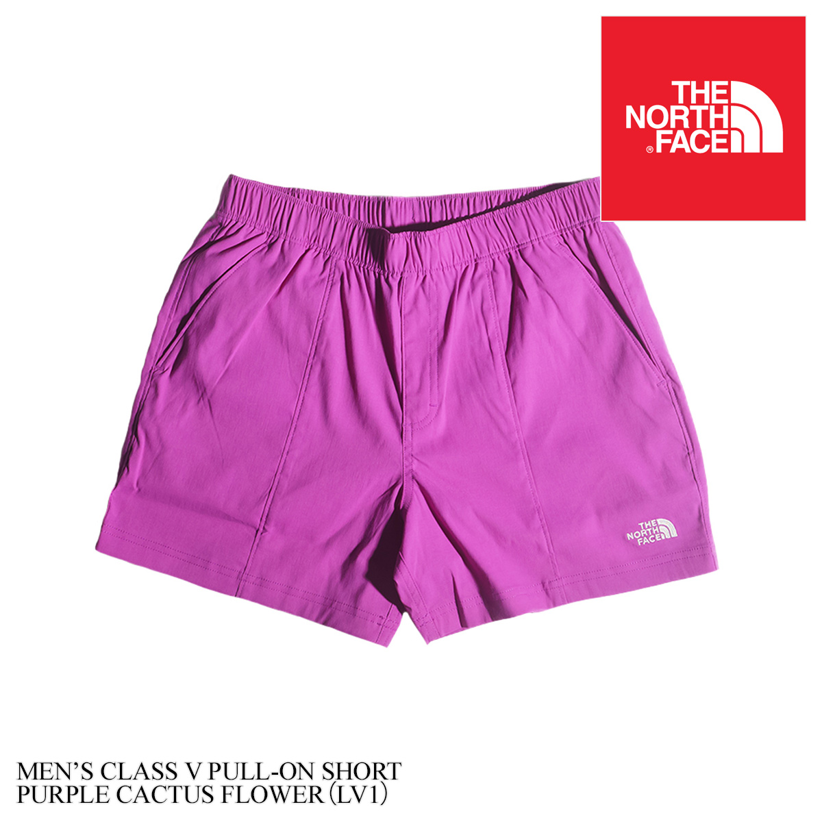 THE NORTH FACE メンズショート、ハーフパンツ（サイズ（S/M/L）：3L