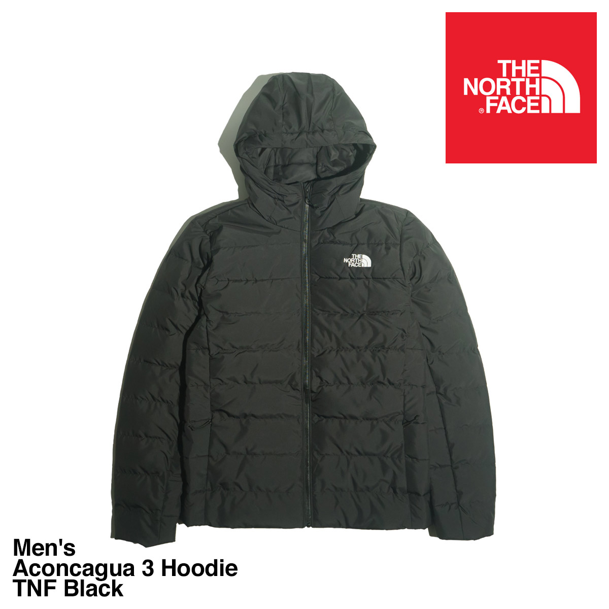 ノースフェイス THE NORTH FACE 海外限定 アコンカグア3 フーディー