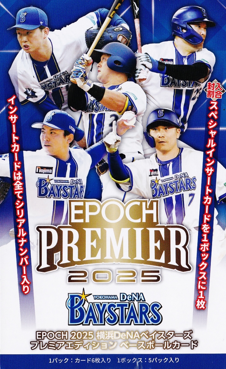 高橋光成 渡辺久信 ライオンズ70周年タペストリー （非売品）　2枚セット 高橋光成 渡辺久信 ライオンズ70周年タペストリー （非売品） 2