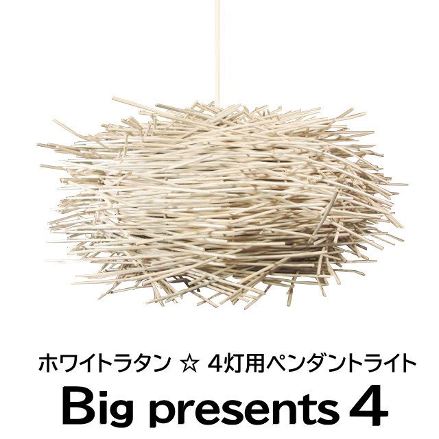 pp4-1.jpg