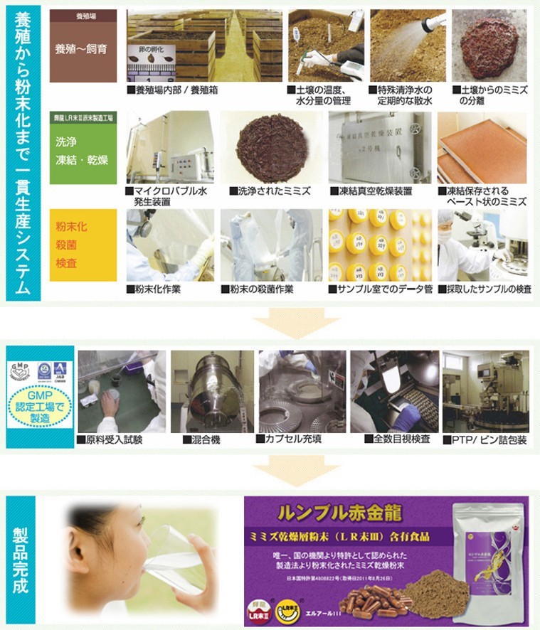 ミミズ酵素 赤ミミズ 乾燥層粉末 LR末III含有食品 90カプセル/2袋セット ルンブレン 血液サラサラ サプリメント 冷え性 疲労回復  ルンブル赤金龍　送料無料
