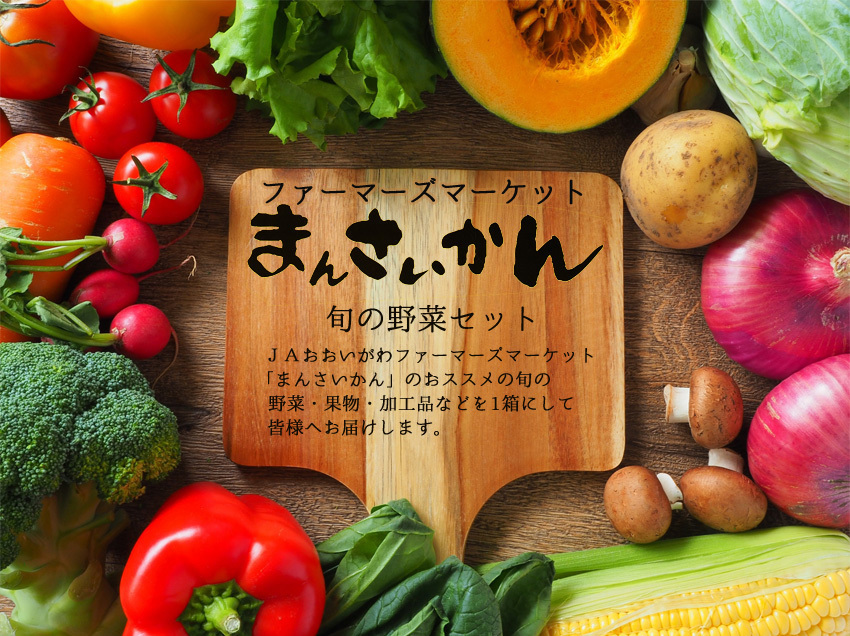 まんさいかん旬の野菜セットミニ 発売記念セール中 送料無料 無料長期保証