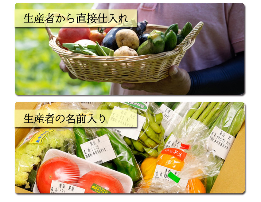 まんさいかん旬の野菜仕送りボックス大(クール便代込) 野菜 まんさいかん旬の野菜仕送りボックス大(クール便代込) 野菜