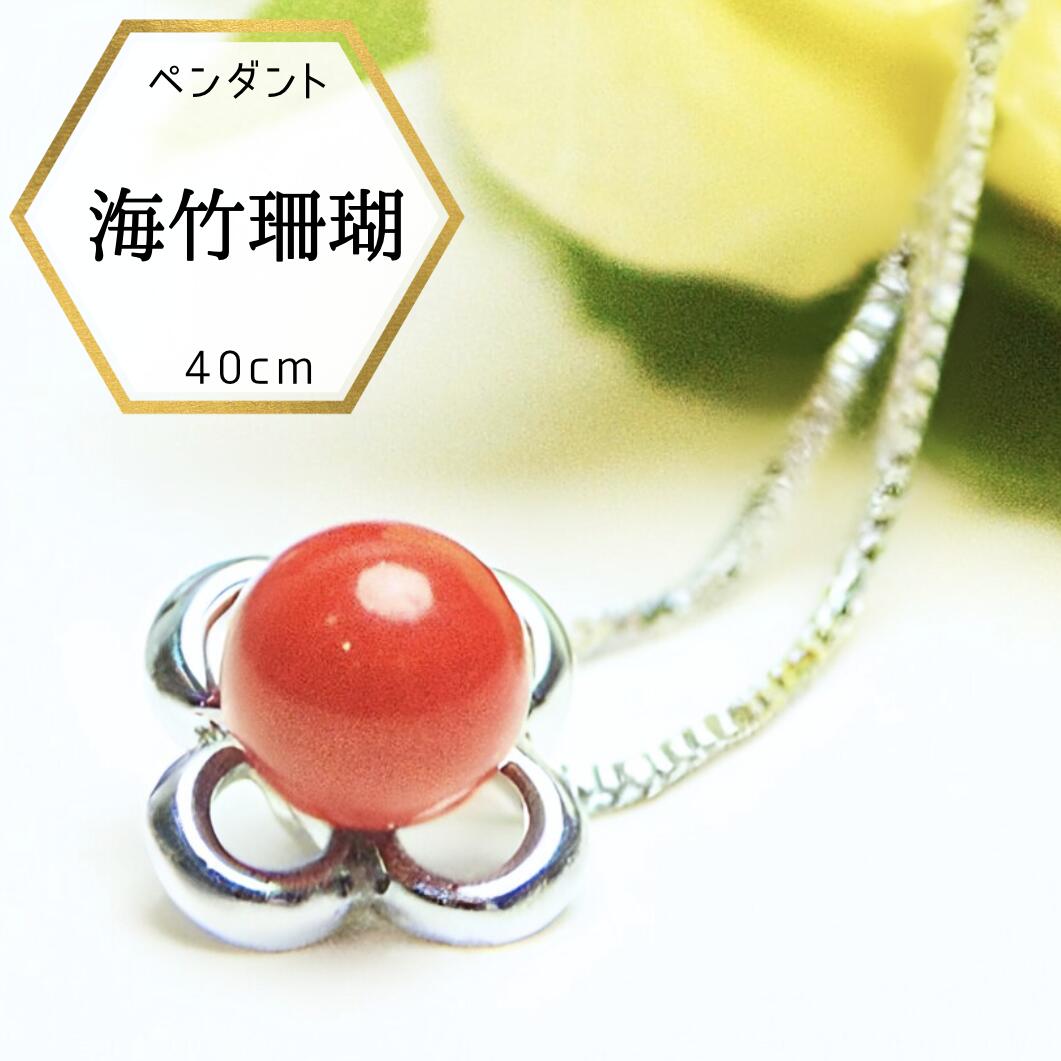 小さい 珊瑚 さんご サンゴ ウミタケ珊瑚 海竹珊瑚 6mm SV925