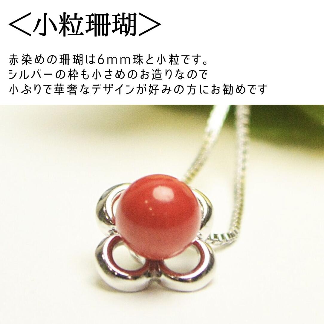 小さい 珊瑚 さんご サンゴ ウミタケ珊瑚 海竹珊瑚 6mm SV925