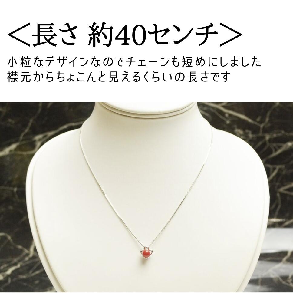 小さい 珊瑚 さんご サンゴ ウミタケ珊瑚 海竹珊瑚 6mm SV925