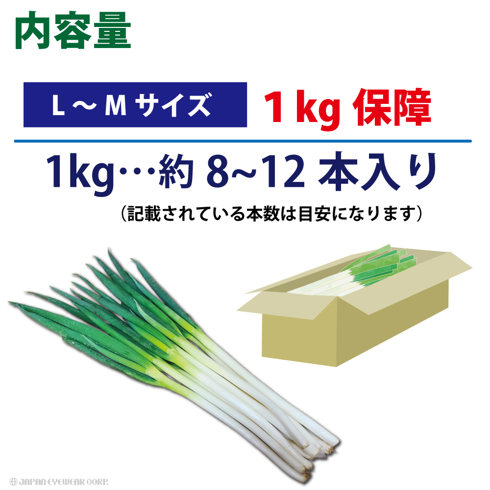 長ねぎ ねぎ 白ねぎ 野菜 福井 いひとよ 白ねぎ 1kg SS〜2Lサイズ 福井