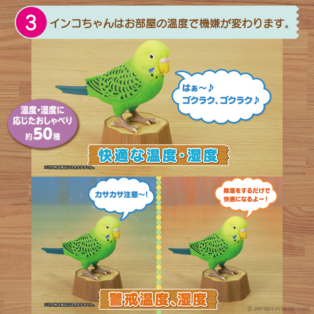 インコ 鳥 おもちゃ 毎日おしゃべり天才インコちゃん 脳トレ グッズ