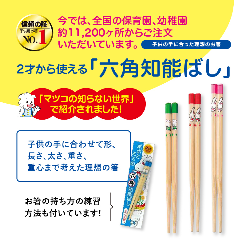 子供 箸 六角知能箸 小学生用 17〜19cm 矯正箸 強制箸 練習箸 はじめて