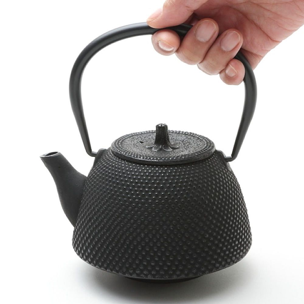 南部鉄器 急須 鉄瓶 南部型 あられ 茶こし付き 0.4L