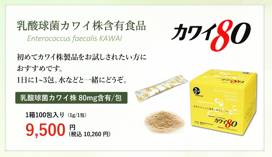 Kawai カワイ80 乳酸球菌 カワイ株 80mg含有/包 100包入り 乳酸菌 河合