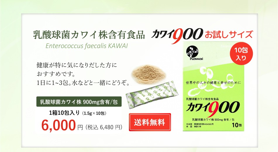 カワイ900 お試しサイズ 乳酸球菌 カワイ株 900mg含有/包 10包入り