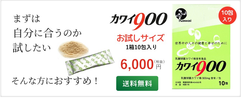 新作送料無料 Japanall店Kawai カワイ900 乳酸球菌 カワイ株 900mg含有