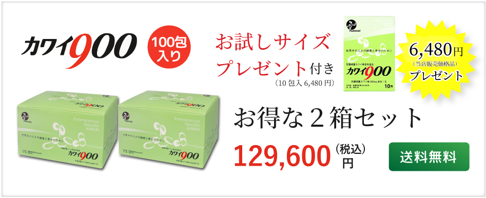 お得な2箱セット お試しサイズプレゼント】 カワイ900 乳酸球菌カワイ 