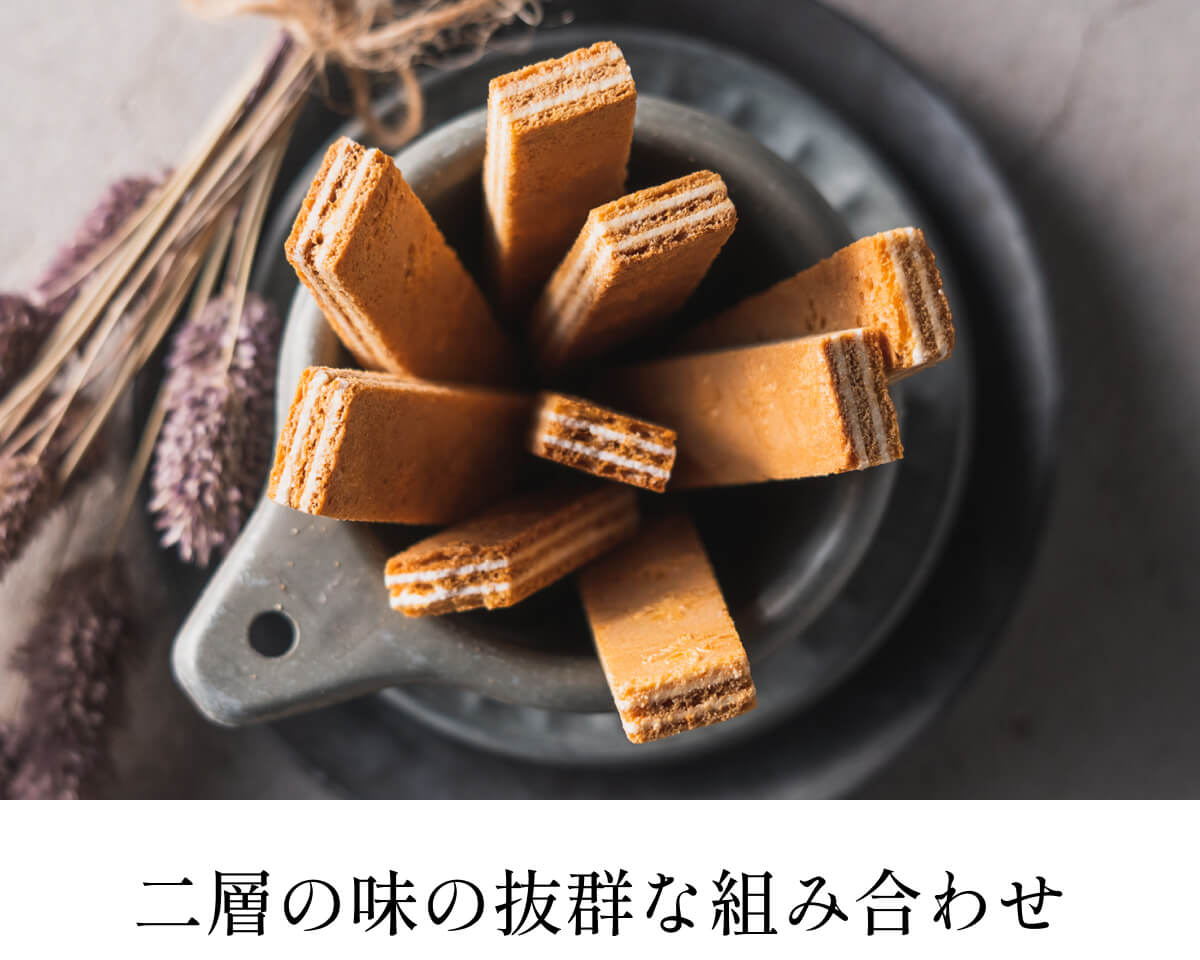 画像07