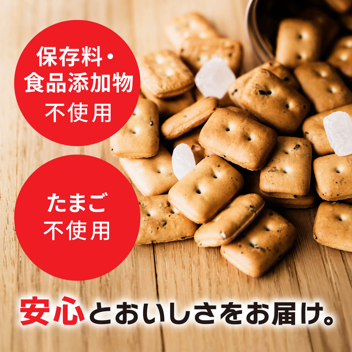 三立製菓 缶入カンパン 乾パン カンパン 非常食 お菓子 缶詰